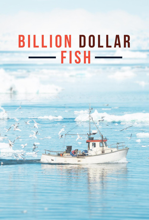 Billion Dollar Fish (2012) poster
