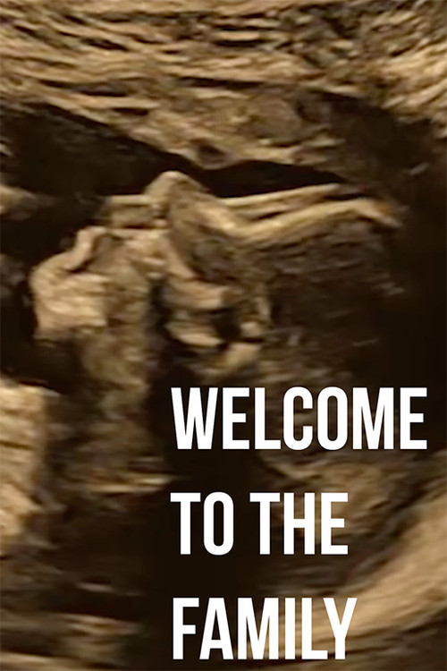 Welcome to the Family (2023) poster