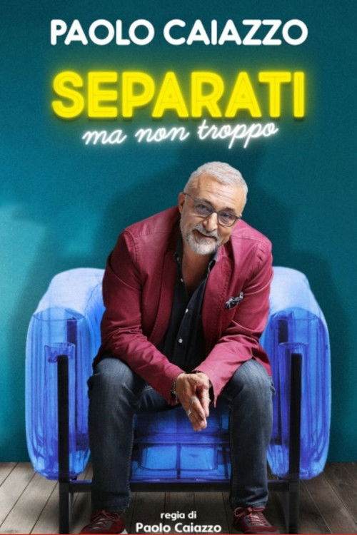 Separati ma non troppo (2012) poster