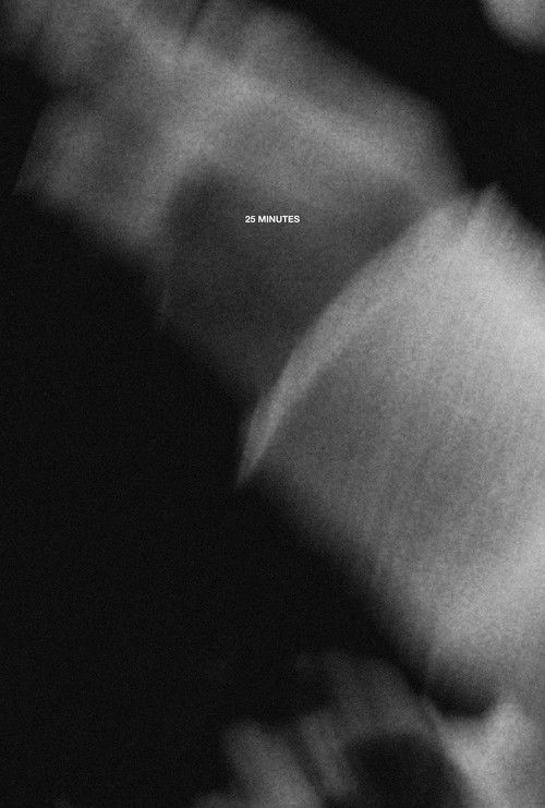 25 Minutes (2024) poster