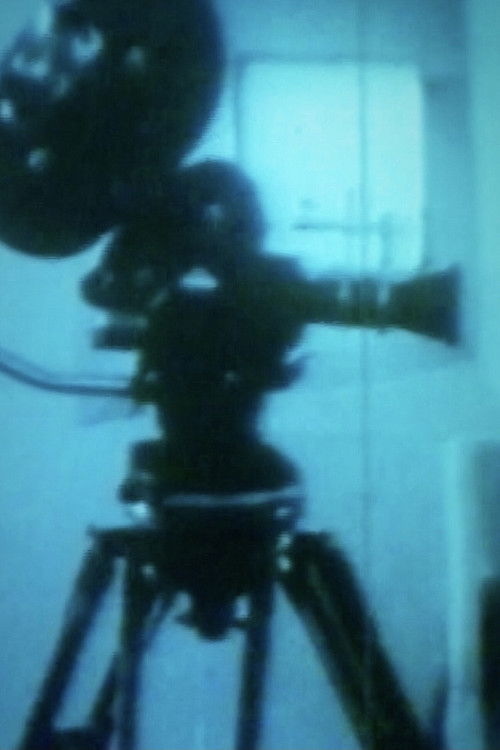 Andare a Roma (1976) poster