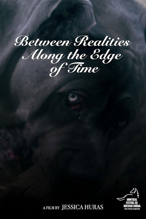 Between Realities Along the Edge of Time (2021) poster