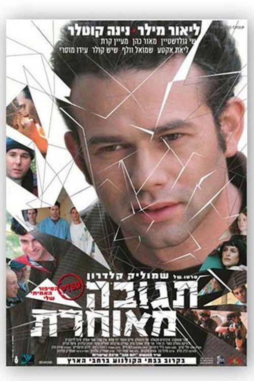 Delayed Reaction (2004) poster