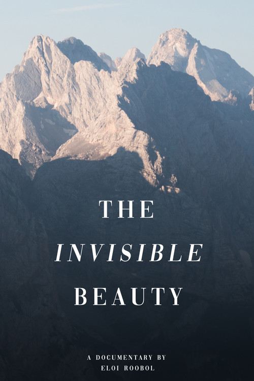 The Invisible Beauty (2018) poster