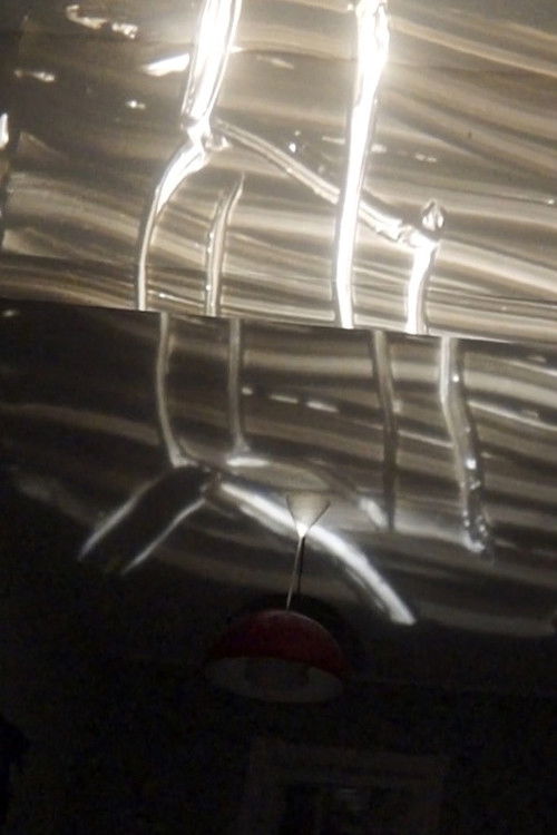 Come Coyote (2019) poster