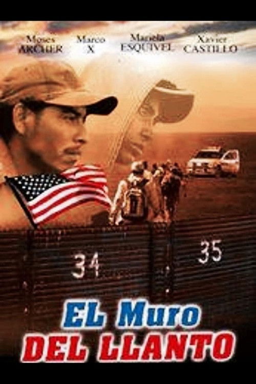 El muro del llanto (2014) poster