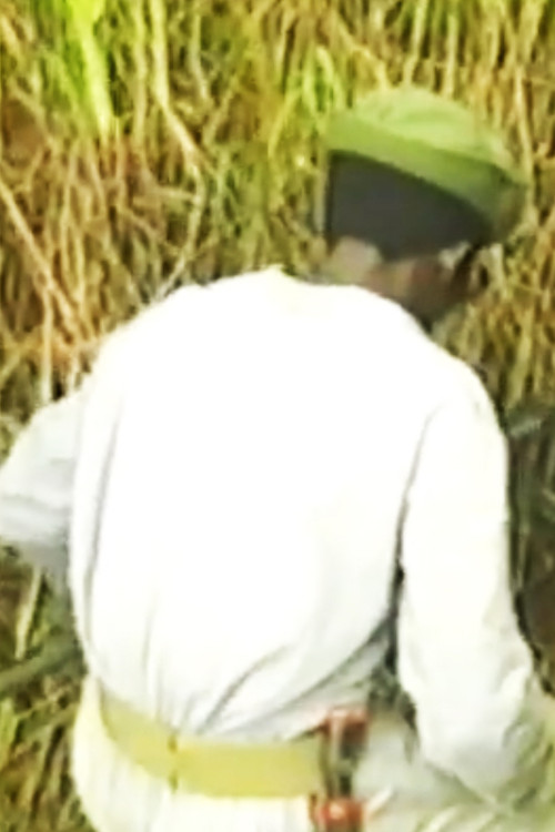 The Sun Still Shines (1995) poster