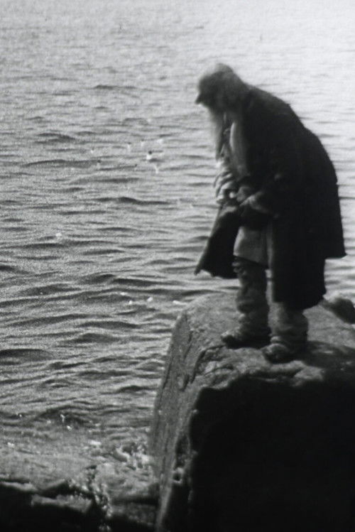 Сказка о рыбаке и рыбке (1911) poster