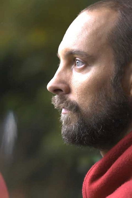 Je rentrais (2013) poster