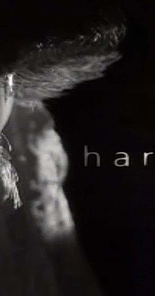 Harvey (2002) poster