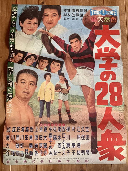 The College Ruggers (1959) poster