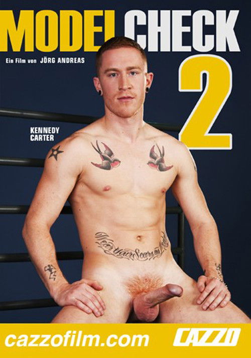 Model Check 2 (2010) poster