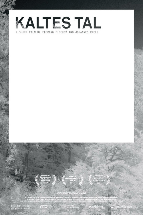 Kaltes Tal (2016) poster
