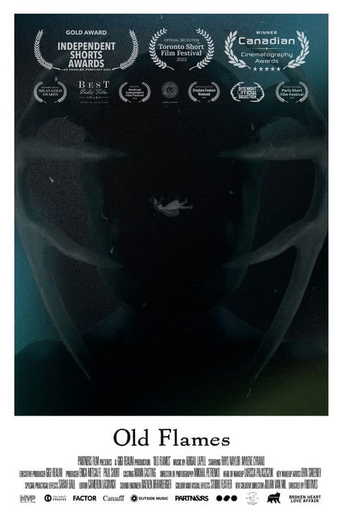 Old Flames (2023) poster