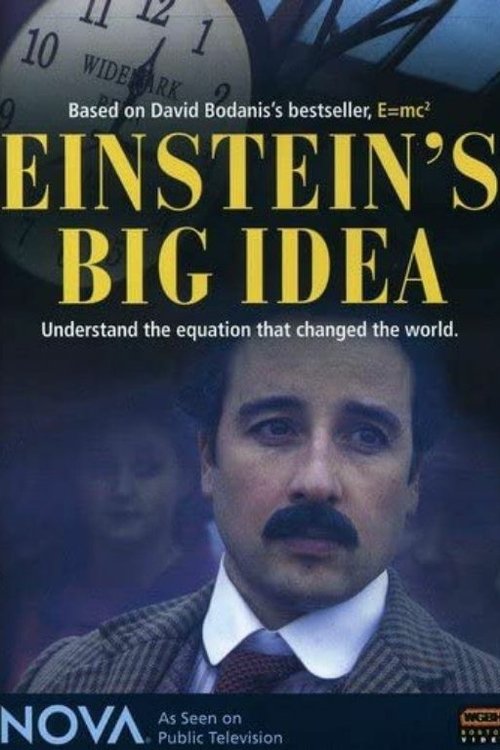 Einstein's Big Idea (2005) poster
