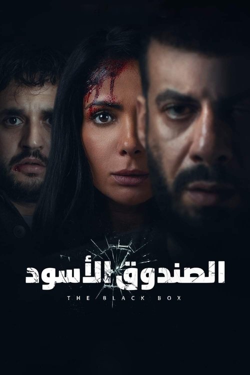 الصندوق الأسود (2020) poster