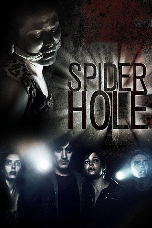 Spiderhole (2010) poster