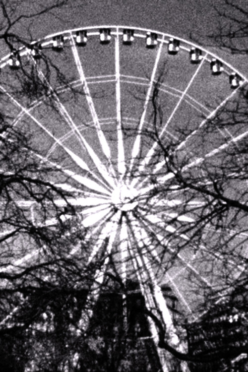 Rad und Zweige (2023) poster