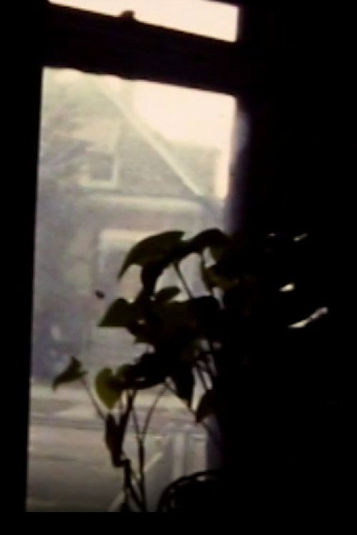 Windows (1984) poster