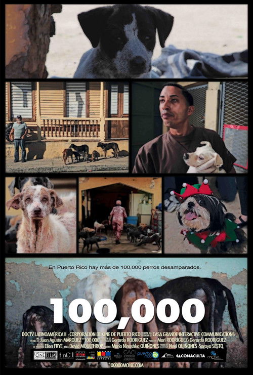 100,000 (2010) poster