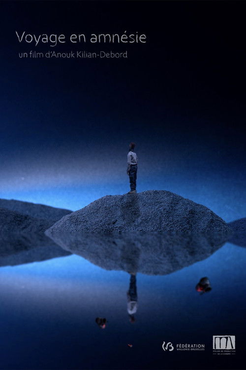 Journey in Amnesia (2021) poster