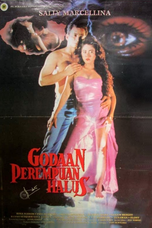 The Temptation of a Fine Woman (1993) poster