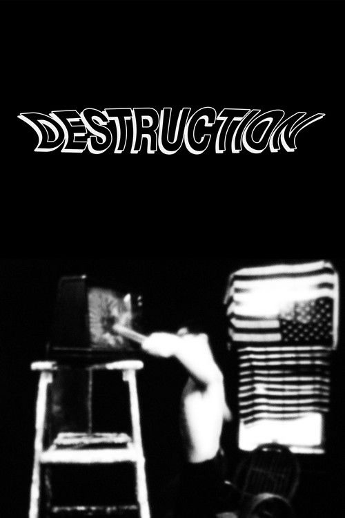 Destruction (1984) poster