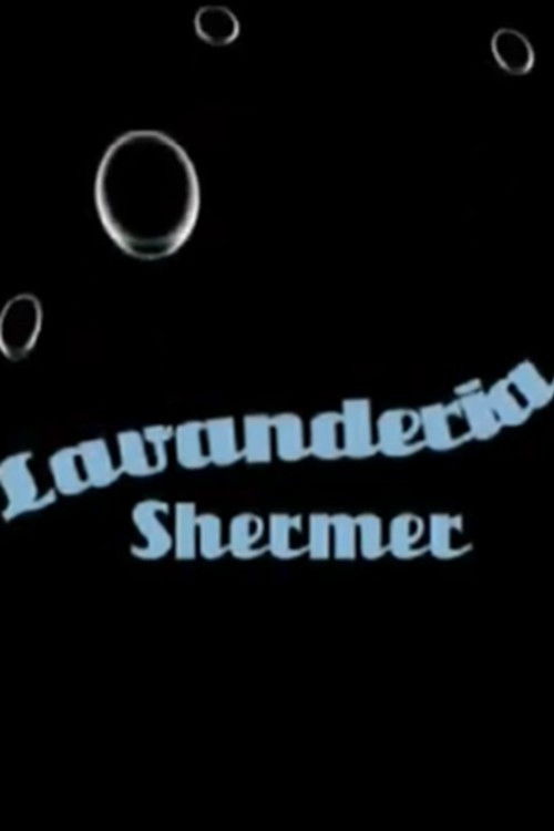 Lavanderia Shermer (2008) poster