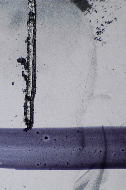 Untitled Sequence One poster