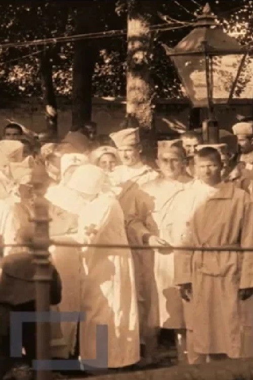 Gramberg's Military Hospital (1913) poster