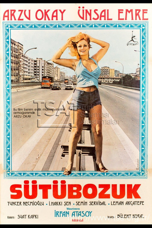 Sütü Bozuk (1976) poster