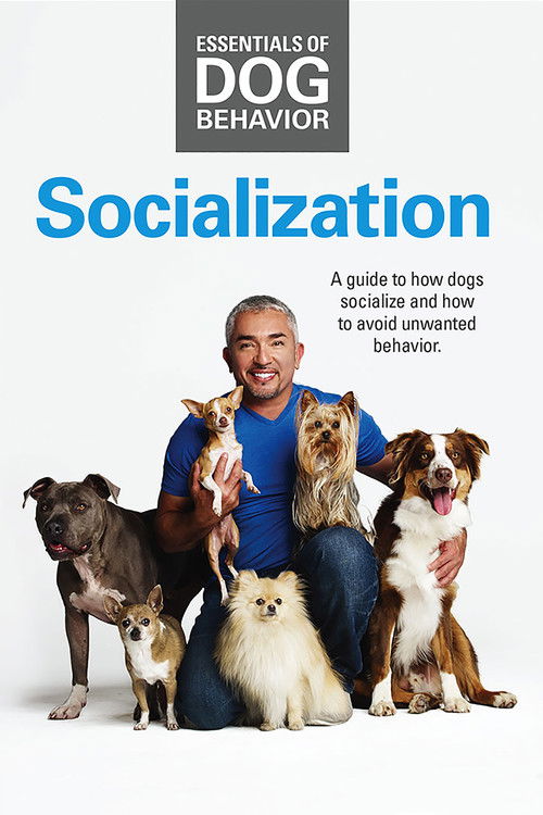 Essentials of Dog Behavior: Socialization (2014) poster