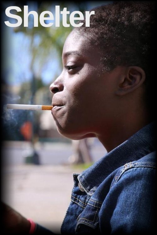 Shelter (2017) poster