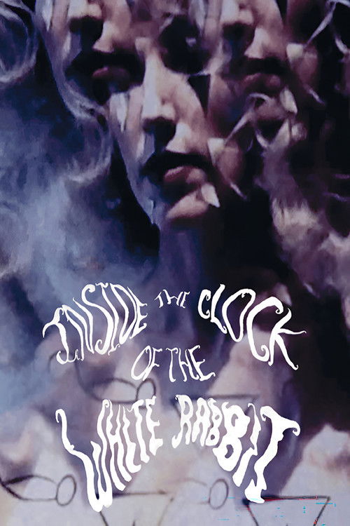 Inside The Clock Of The White Rabbit (2011) poster
