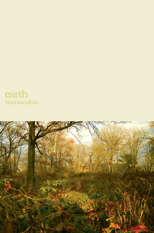 Earth: Within the Drone (2007) poster