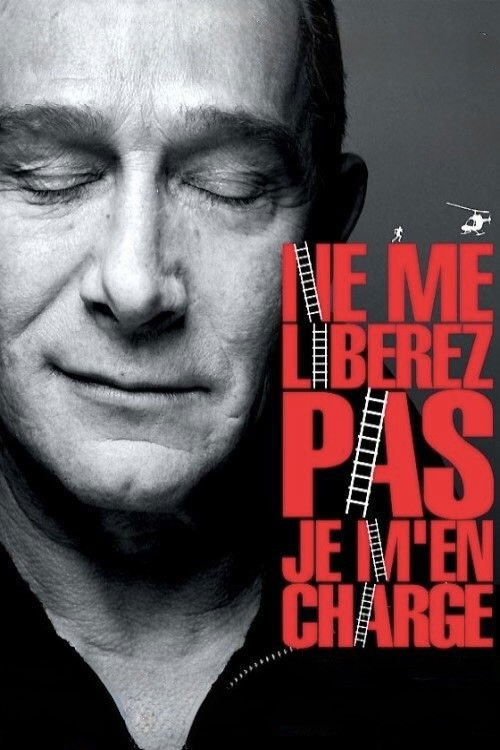Ne me libérez pas, je m'en charge (2009) poster