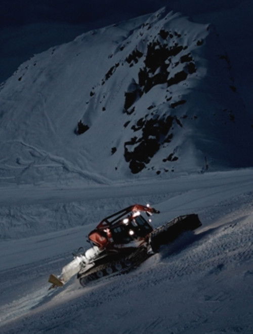 Out of Bounds (B) (2016) poster