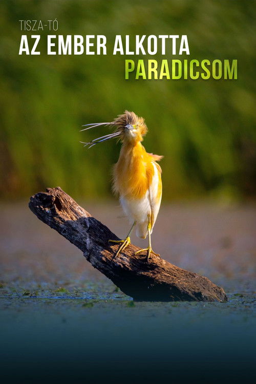 A Man-Made Paradise (2023) poster