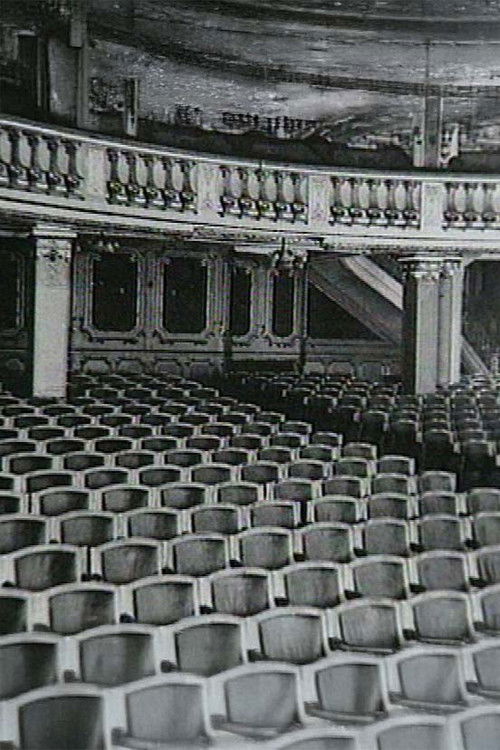 Du Salon indien au multiplexe (1995) poster