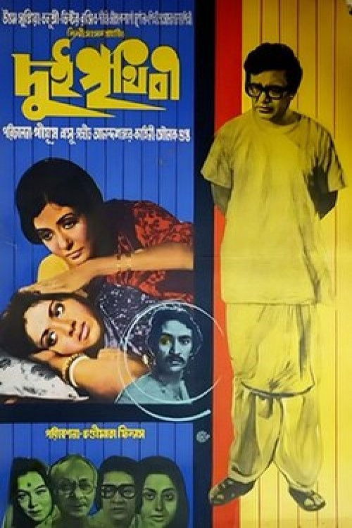 দুই পৃথিবী (1980) poster