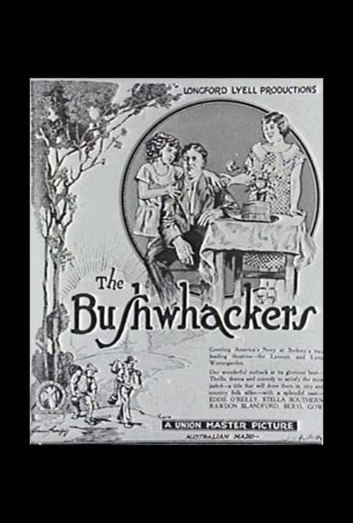 The Bushwackers (1925) poster