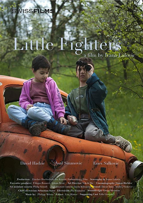 Little Fighters (2010) poster