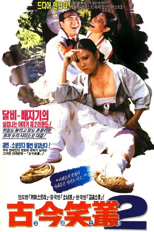고금소총 2 (1991) poster