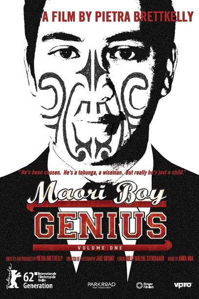 Maori Boy Genius (2011) poster