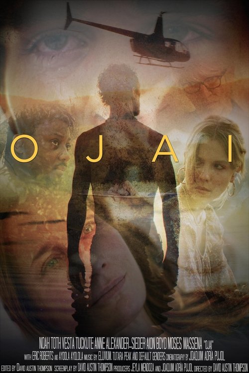 Ojai (2025) poster