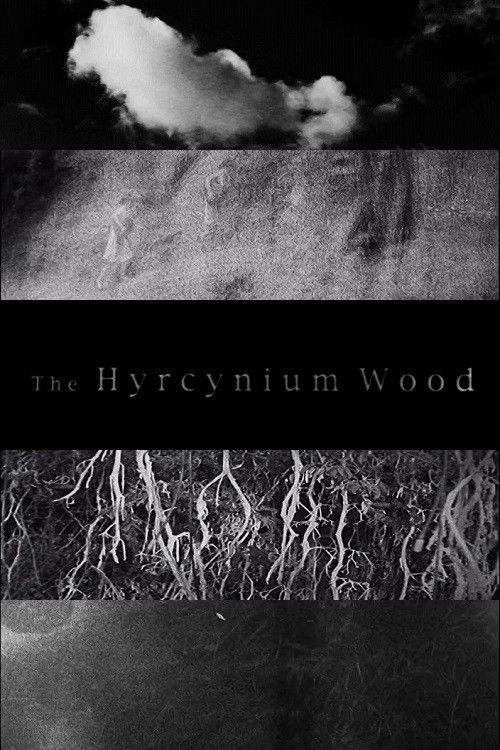 The Hyrcynium Wood (2005) poster