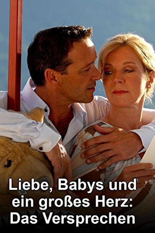 Liebe, Babys und ein großes Herz – Das Versprechen (2008) poster