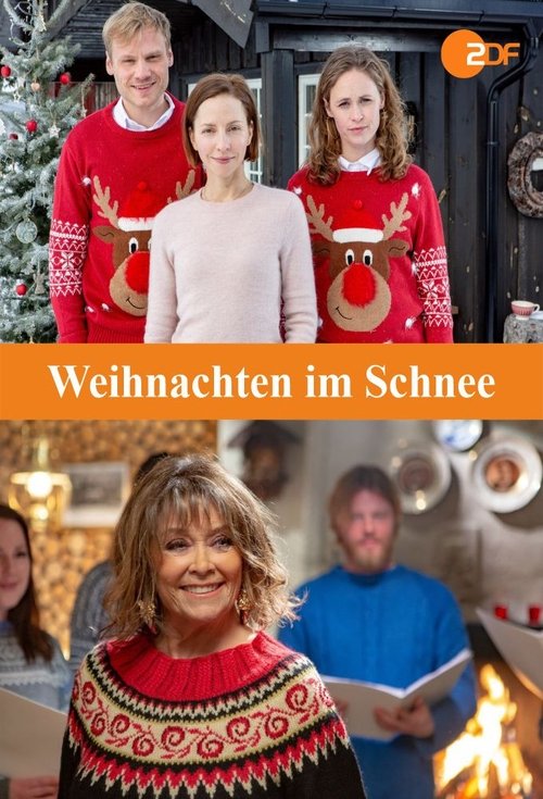 Weihnachten im Schnee (2019) poster