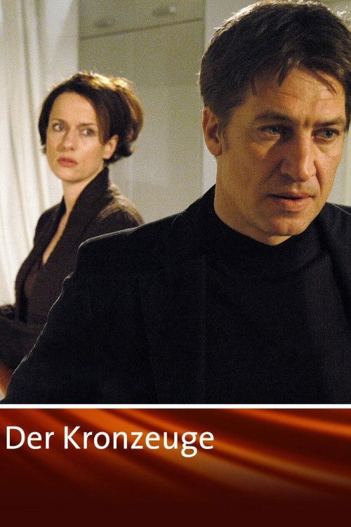 Der Kronzeuge (2007) poster