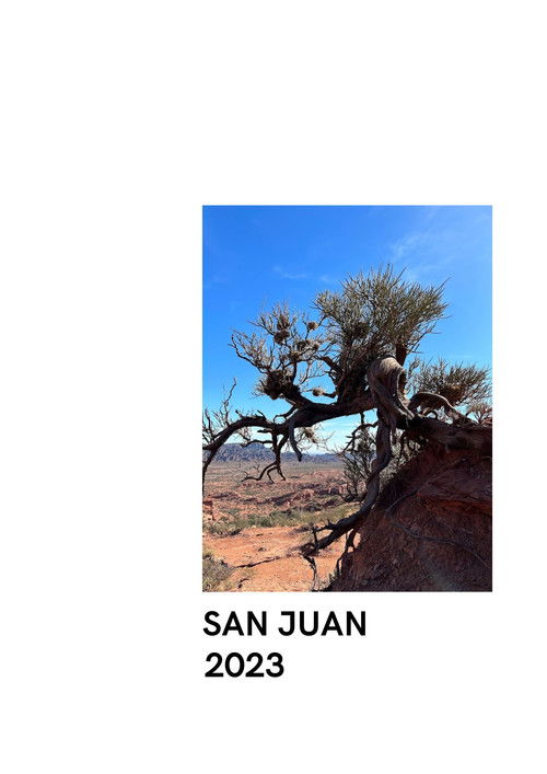 San Juan 2023 (2024) poster